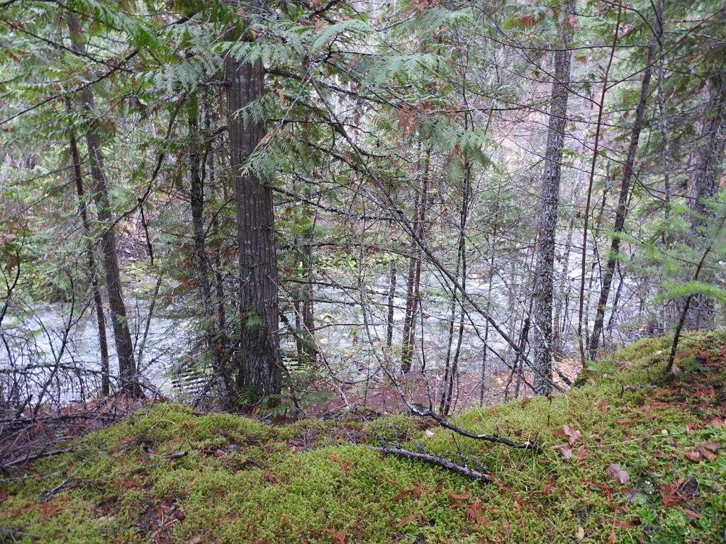 









144 Acres


South Fork

Road,
Cherryville,







BC
V0E 2G3

