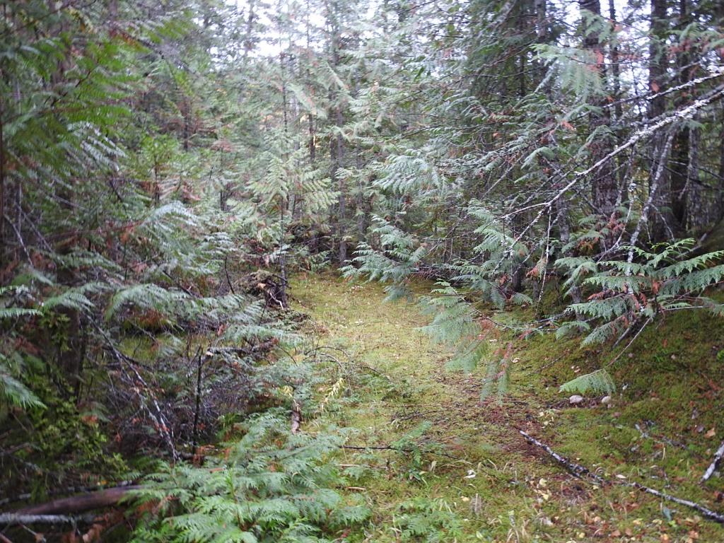 









144 Acres


South Fork

Road,
Cherryville,







BC
V0E 2G3

