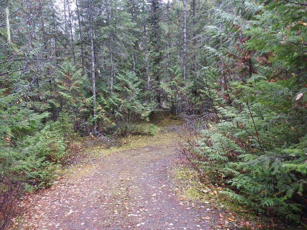 









144 Acres


South Fork

Road,
Cherryville,







BC
V0E 2G3

