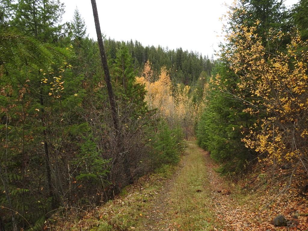 









144 Acres


South Fork

Road,
Cherryville,







BC
V0E 2G3

