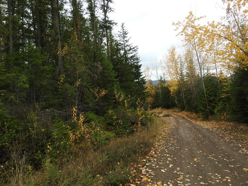 









144 Acres


South Fork

Road,
Cherryville,







BC
V0E 2G3

