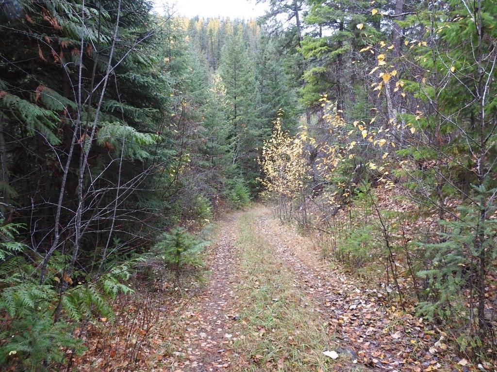 









144 Acres


South Fork

Road,
Cherryville,







BC
V0E 2G3

