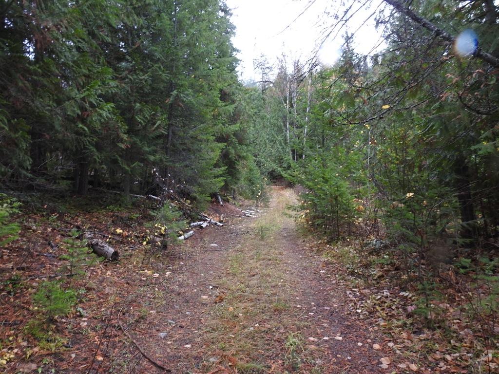 









144 Acres


South Fork

Road,
Cherryville,







BC
V0E 2G3

