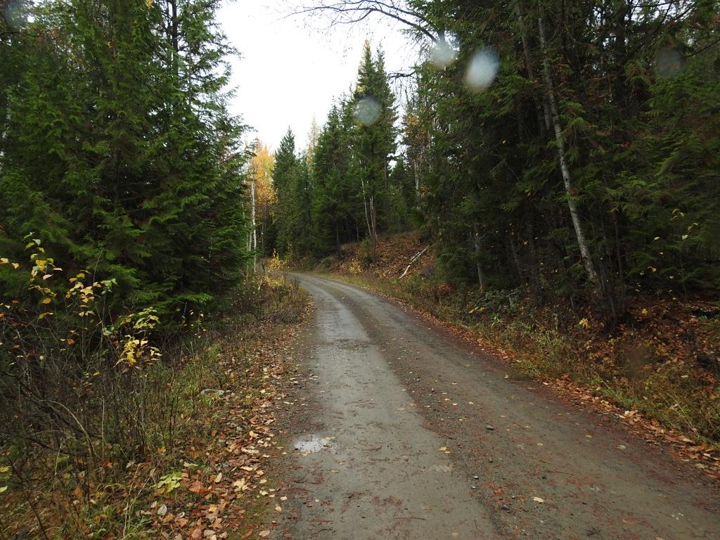 









144 Acres


South Fork

Road,
Cherryville,







BC
V0E 2G3

