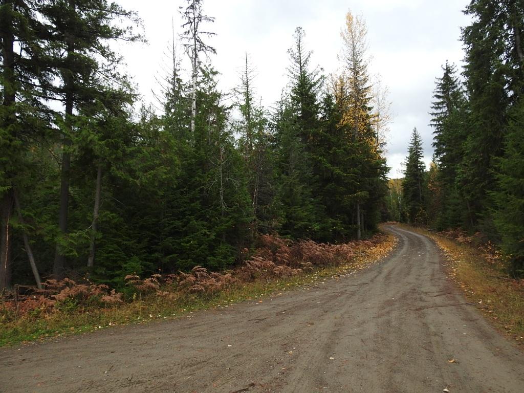 









144 Acres


South Fork

Road,
Cherryville,







BC
V0E 2G3

