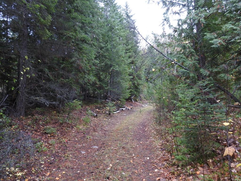 









144 Acres


South Fork

Road,
Cherryville,







BC
V0E 2G3

