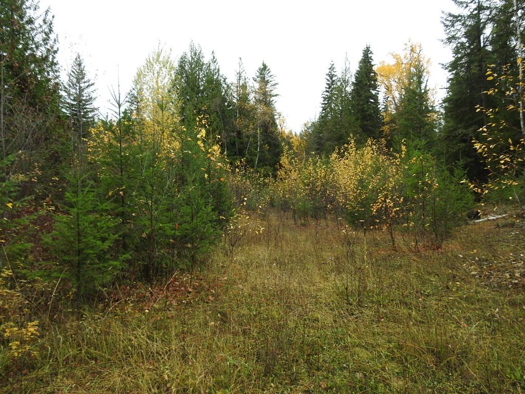 









144 Acres


South Fork

Road,
Cherryville,







BC
V0E 2G3

