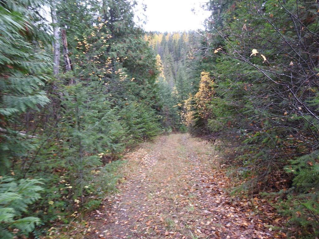









144 Acres


South Fork

Road,
Cherryville,







BC
V0E 2G3

