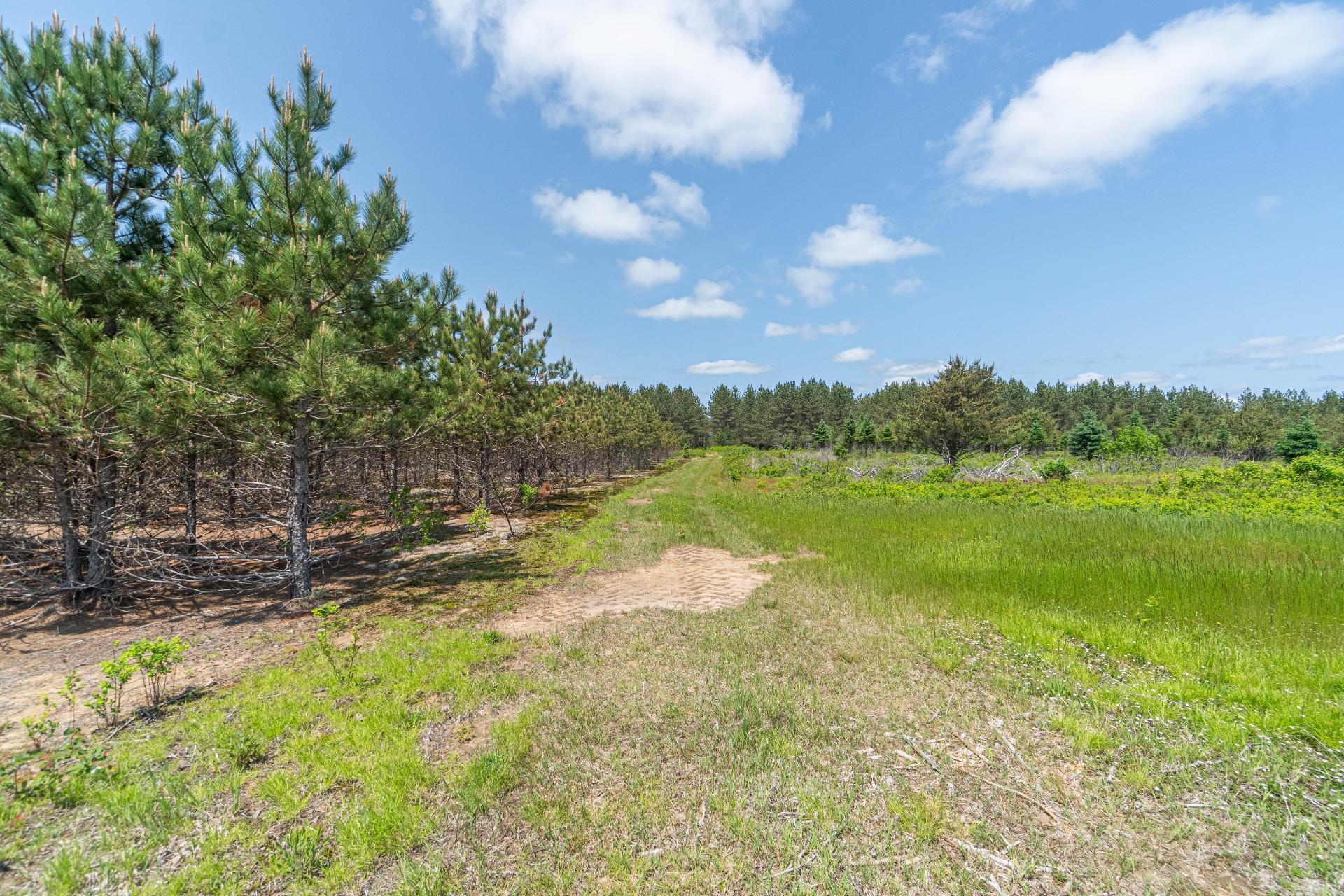 









439


Ch. Plaisance

,
Chute-Saint-Philippe,




QC
J0W1A0

