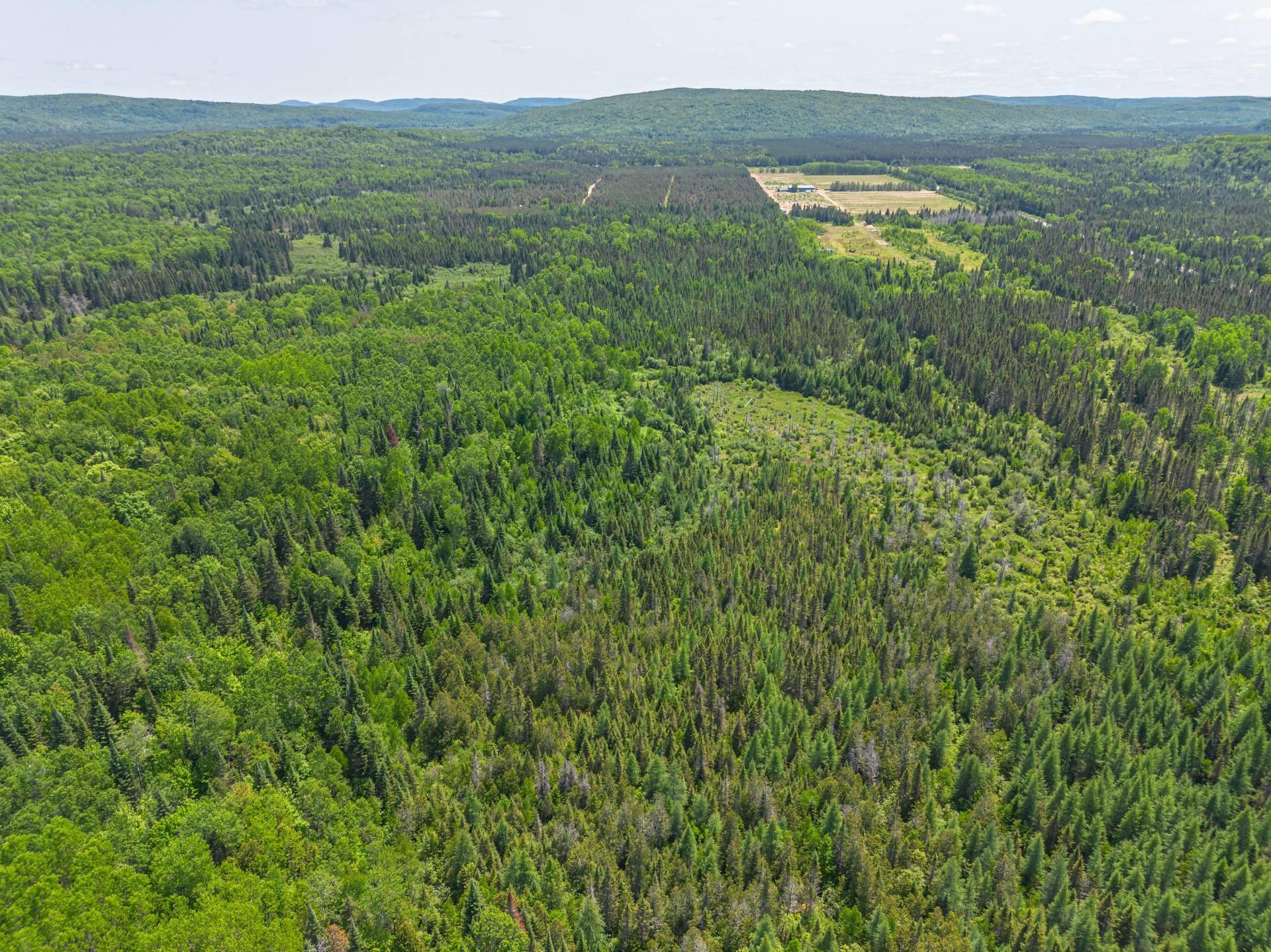 









439


Ch. Plaisance

,
Chute-Saint-Philippe,




QC
J0W1A0


