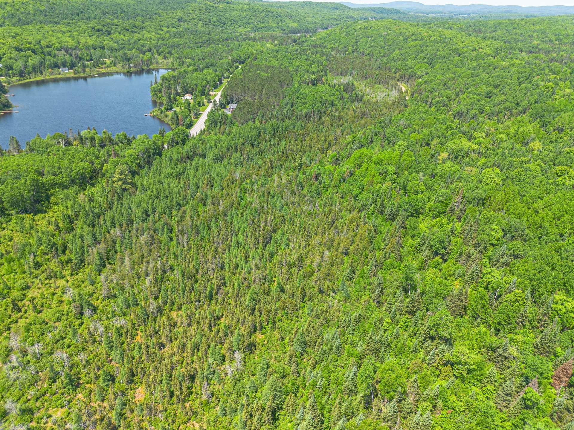









439


Ch. Plaisance

,
Chute-Saint-Philippe,




QC
J0W1A0

