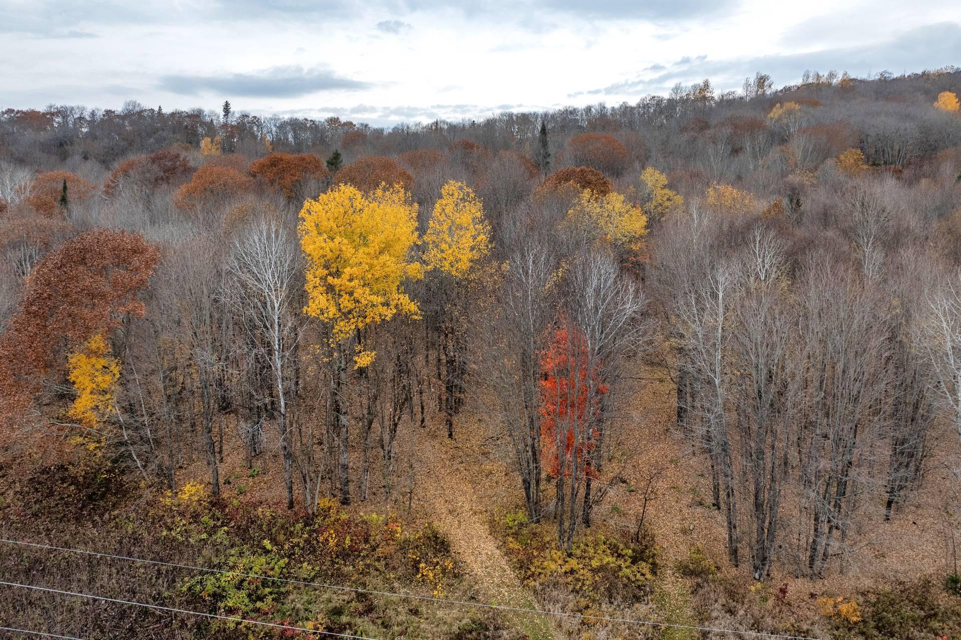 









139

 - 143


Route 309

,
Saint-Aimé-du-Lac-des-Îles,







QC
J0W1J0

