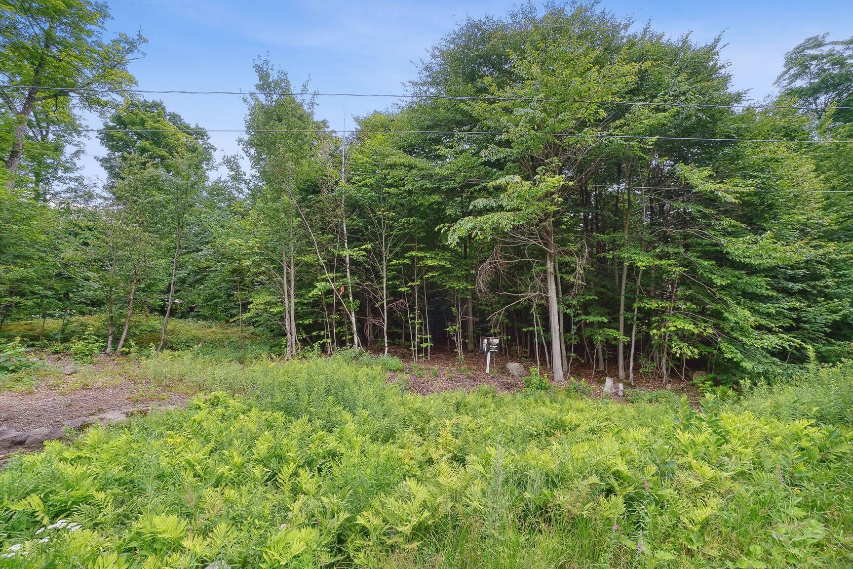 









20


Ch. des Tournesols

,
Sainte-Anne-des-Lacs,




QC
J0R1B0

