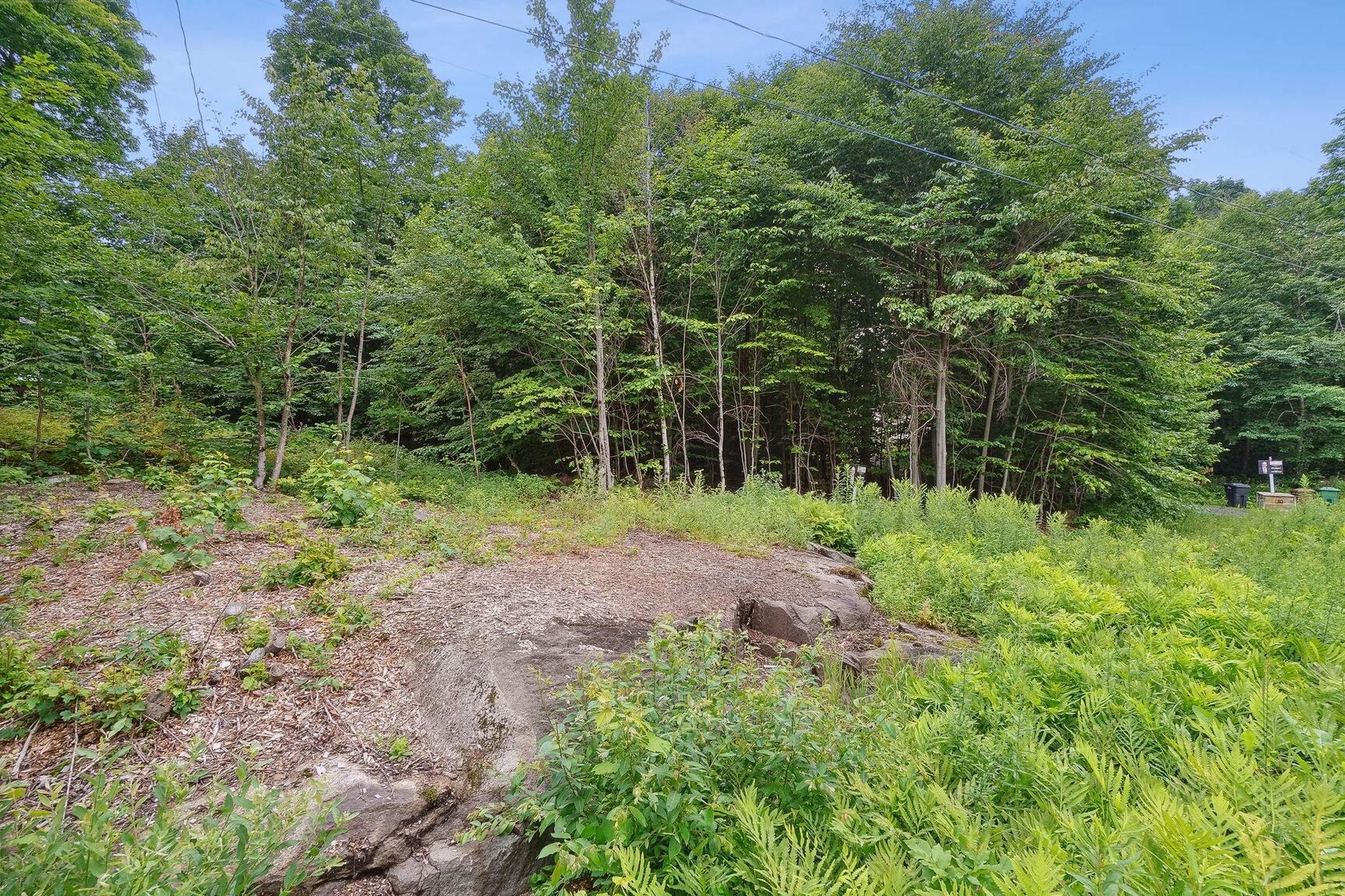 









20


Ch. des Tournesols

,
Sainte-Anne-des-Lacs,




QC
J0R1B0

