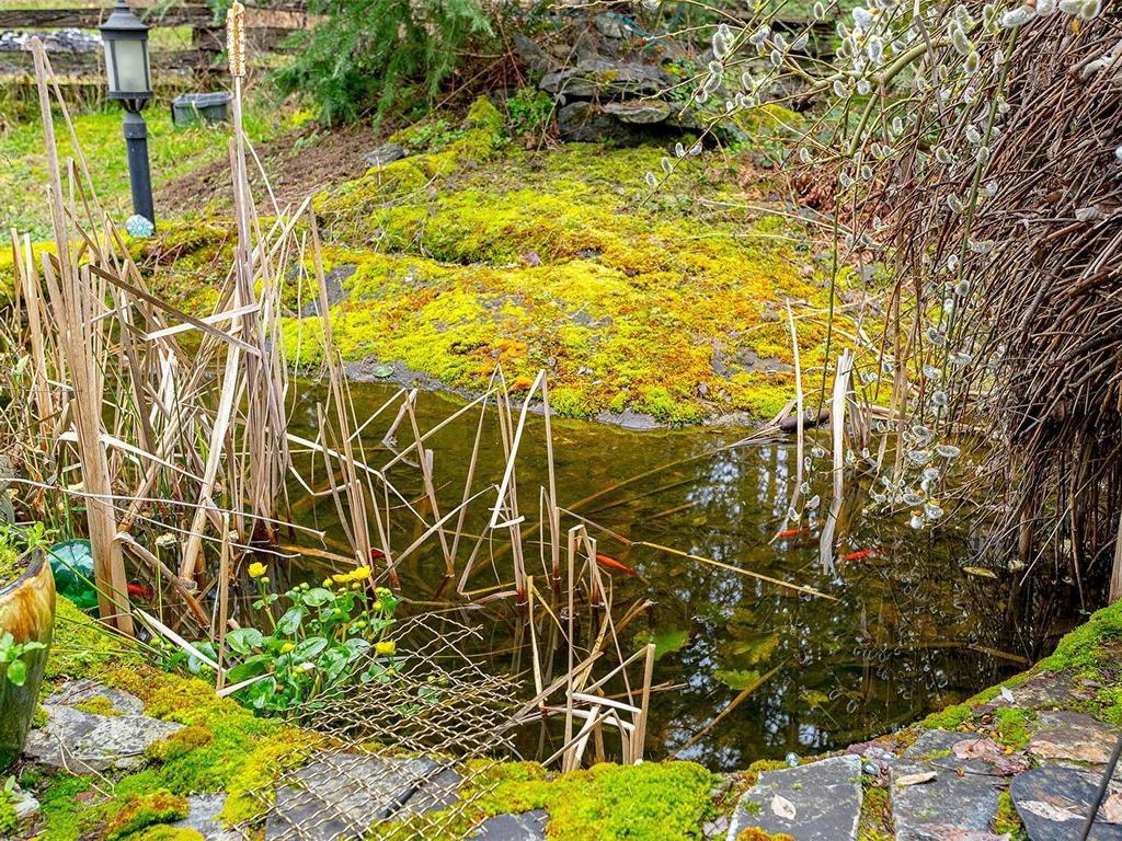 









1559


Sawyer

Rd,
Langford,




BC
V9B 5Y5

