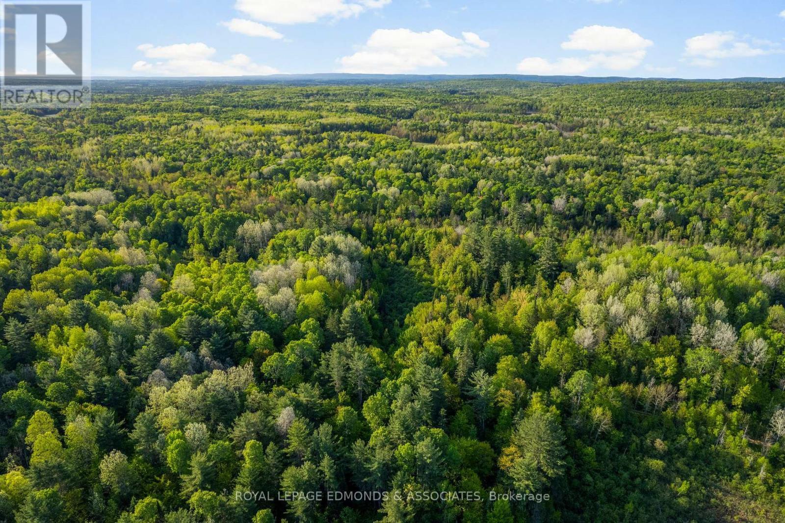 












0 SUNRISE ROAD

,
Killaloe, Hagarty and Richards,







Ontario
K0J2A0

