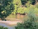 Wildlife View in Saugeen River