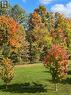 Fall View