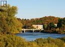 Saugeen River View