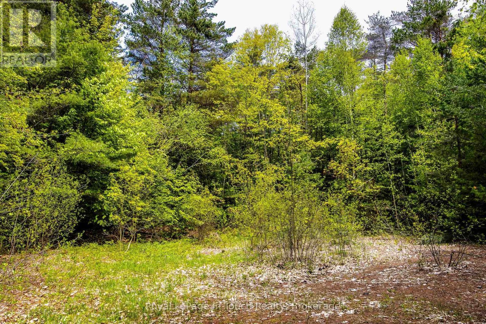 












284 CONCESSION 12 ROAD E

,
Tiny,




Ontario
L0L2J0

