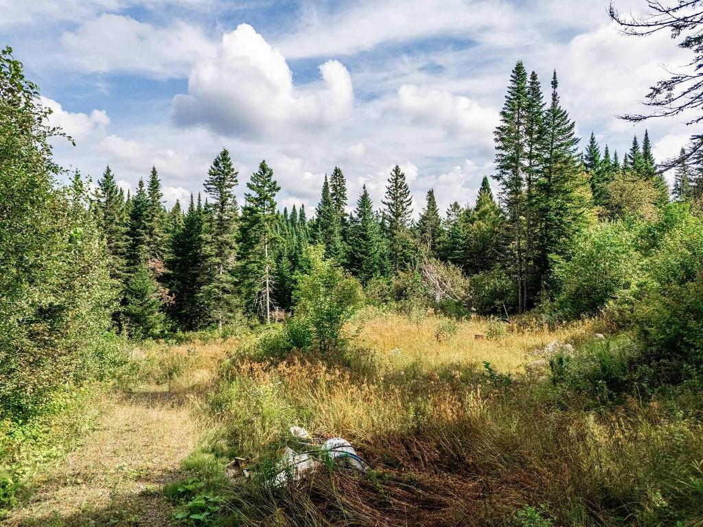 









128


Ch. du Corbeau

,
Notre-Dame-des-Bois,







QC
J0B2E0

