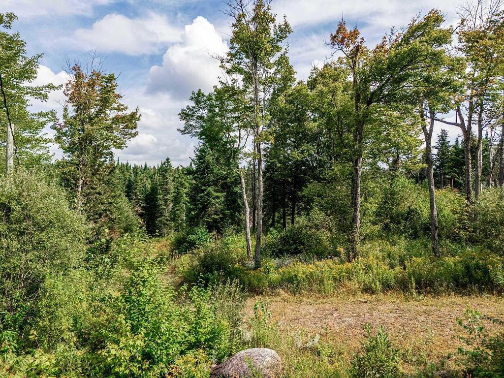 









128


Ch. du Corbeau

,
Notre-Dame-des-Bois,







QC
J0B2E0

