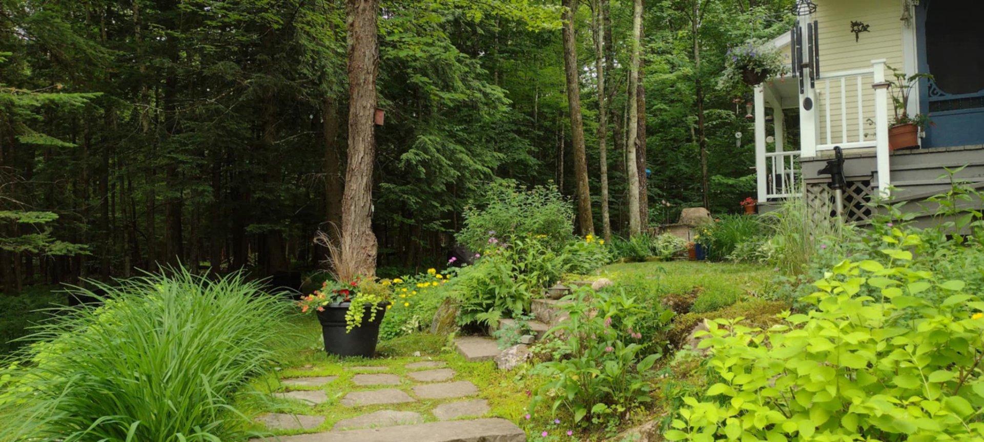 









257


Ch. de Bondville

,
Lac-Brome,




QC
J0E1V0

