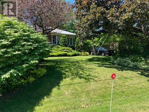 Front Yard Landscaping