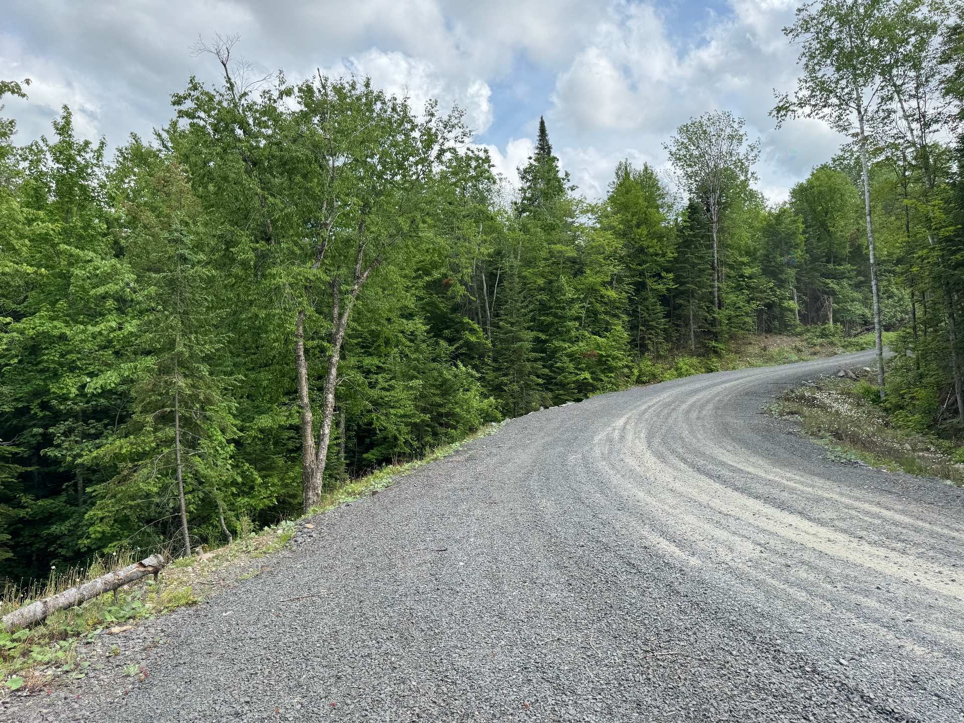 












Rue de la Forêt

,
Sainte-Marguerite-du-Lac-Masson,







QC
J0T1L0

