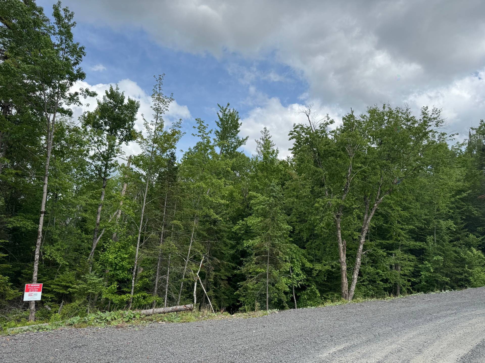 












Rue de la Forêt

,
Sainte-Marguerite-du-Lac-Masson,







QC
J0T1L0

