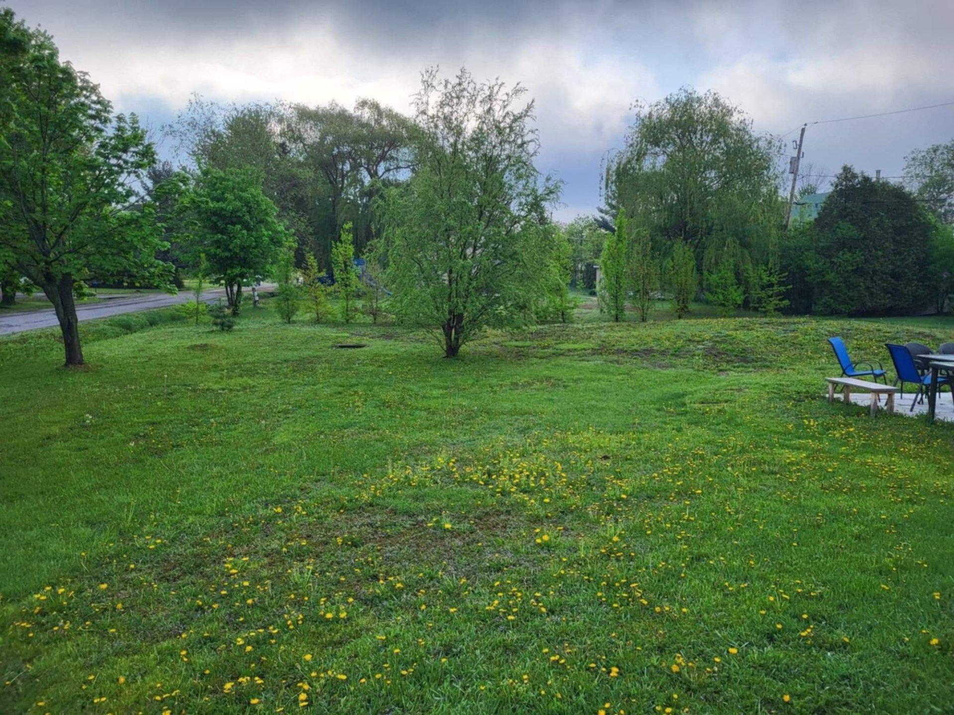 









4451


Rue René-Dumas

,
Carignan,




QC
J3L4A7


