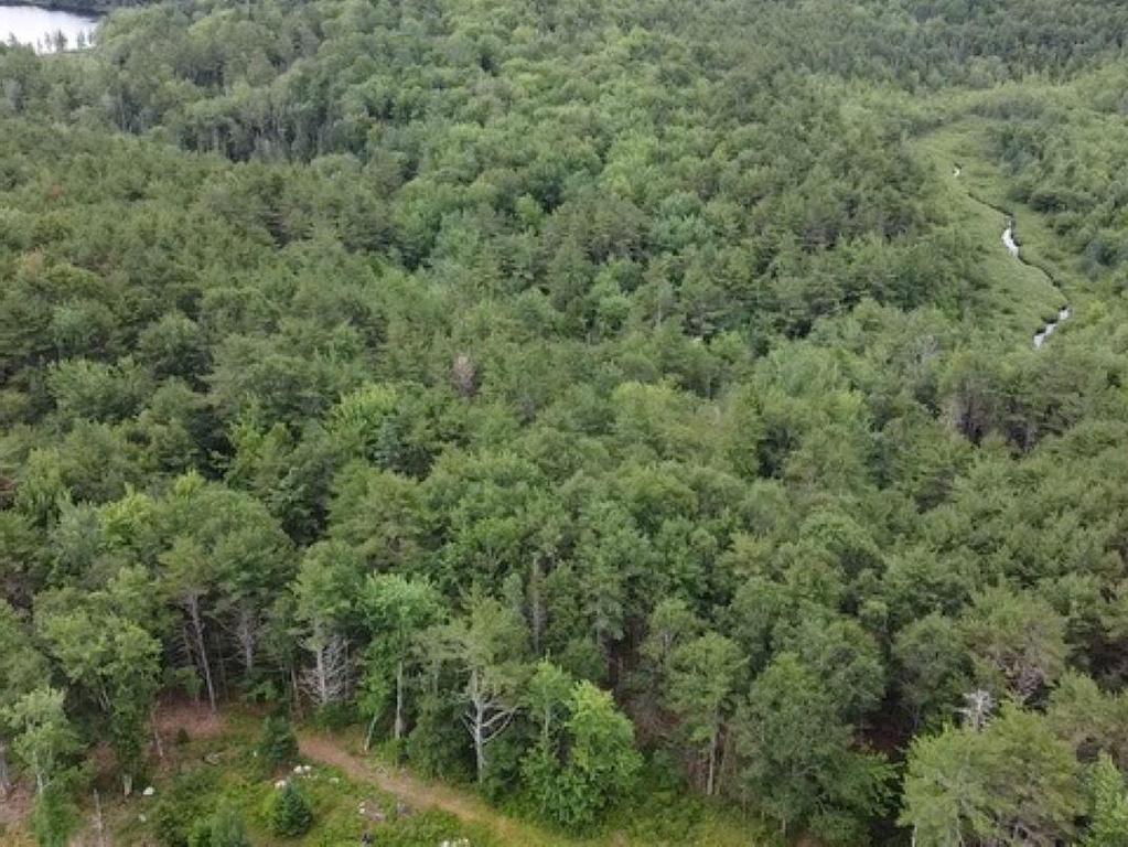 












Lot Sleepy Hollow Road

,
Martins River,







NS
B0J 2E0

