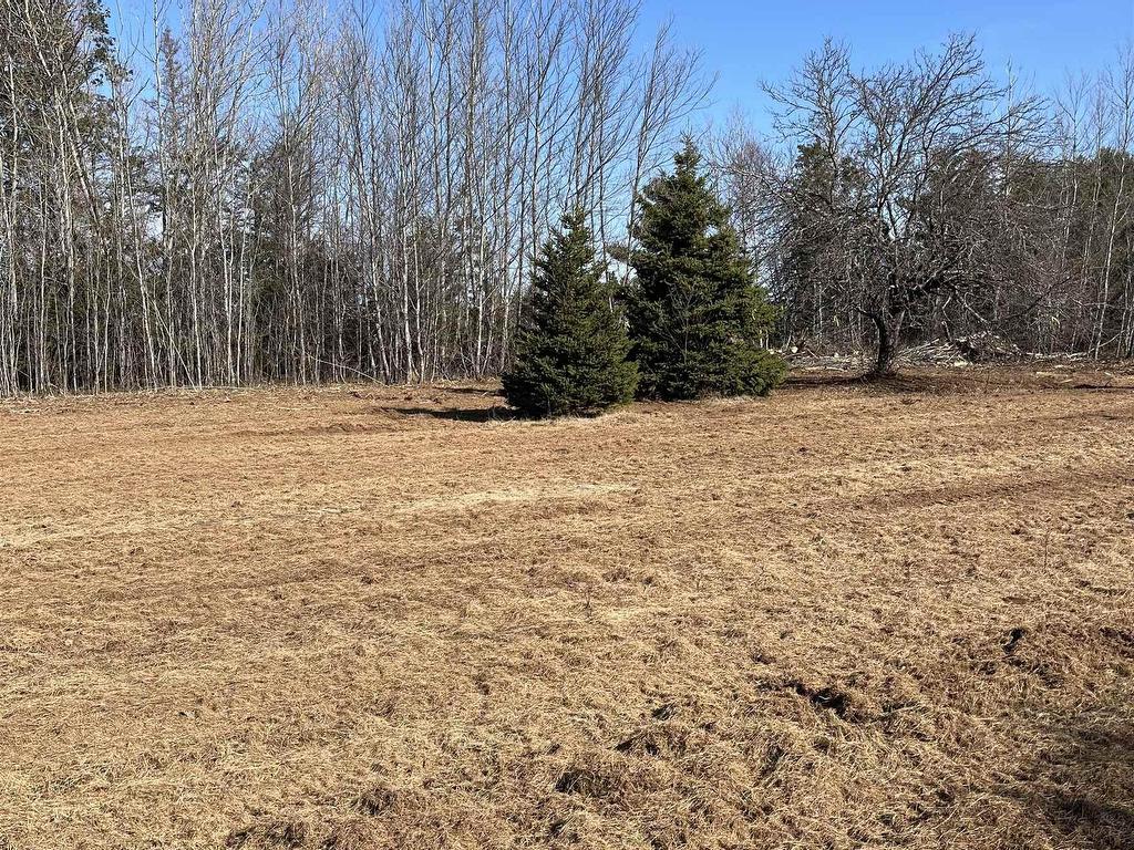 












Lot 1 Factory Road

,
Belle River,







PE
C0A 1B0

