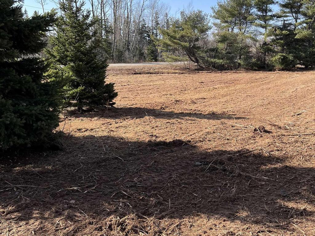 












Lot 1 Factory Road

,
Belle River,







PE
C0A 1B0

