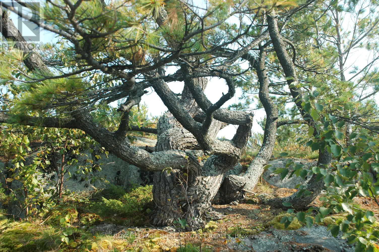 












1 A249 ISLAND

,
The Archipelago,




Ontario
P0G1K0

