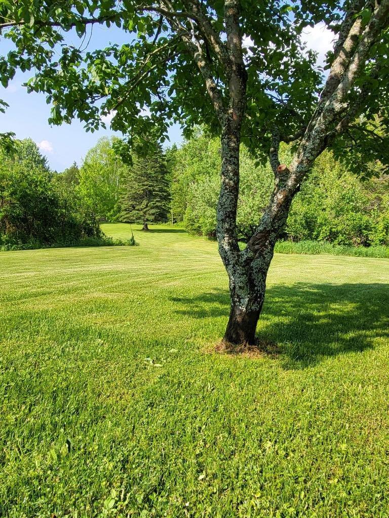 









6250


Rue Principale

,
Saint-Zénon,




QC
J0K3B0

