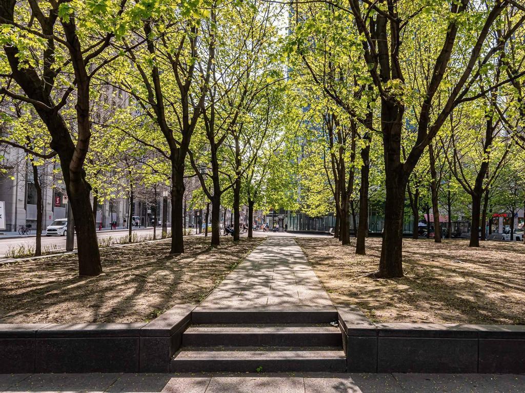 









720


Rue St-Jacques

, 2906,
Montréal (Ville-Marie),




QC
H3C1E9

