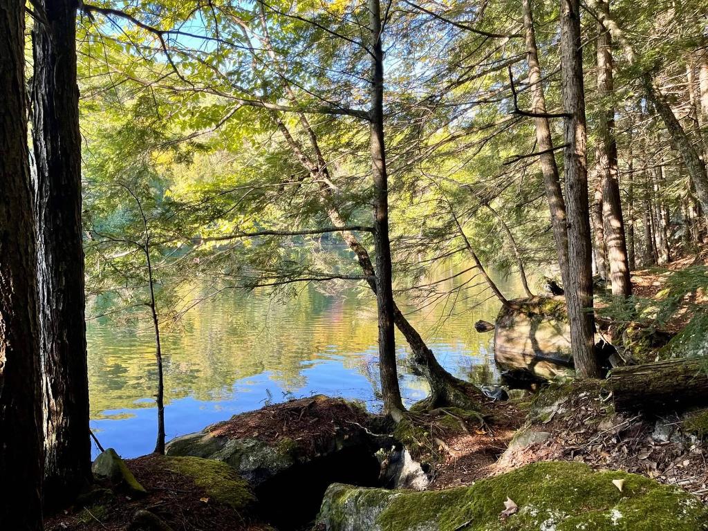 









34


Ch. des Becs-Scie

,
Val-des-Monts,







QC
J8N6L9

