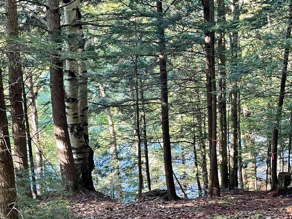 









34


Ch. des Becs-Scie

,
Val-des-Monts,







QC
J8N6L9

