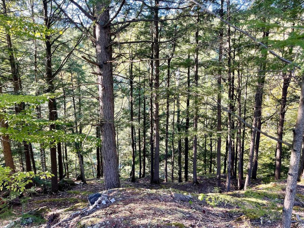 









34


Ch. des Becs-Scie

,
Val-des-Monts,







QC
J8N6L9

