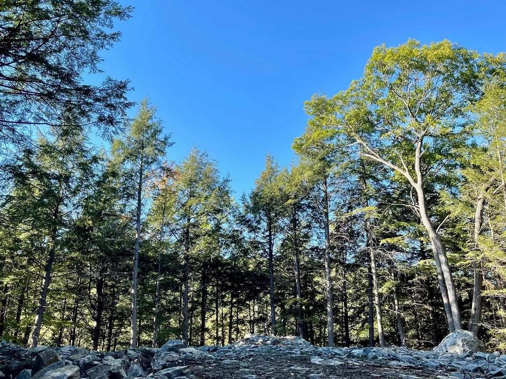 









34


Ch. des Becs-Scie

,
Val-des-Monts,







QC
J8N6L9

