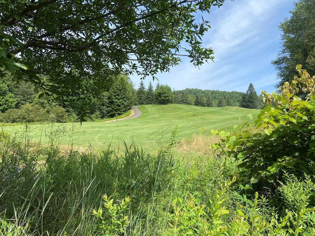 









1822


Ch. du Golf

,
Mont-Tremblant,




QC
J8E2K6

