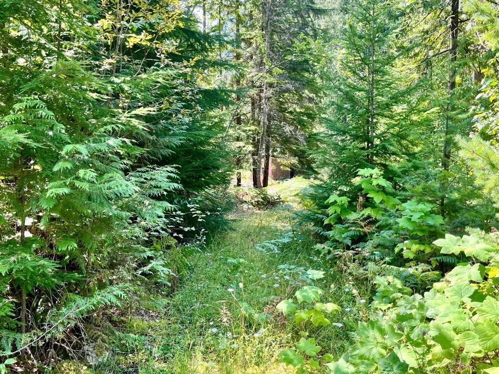 









5345


Highway 6

Highway,
Burton,







BC
V0G 1R0

