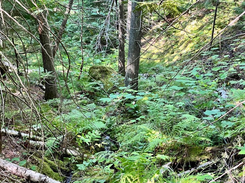 









5345


Highway 6

Highway,
Burton,







BC
V0G 1R0

