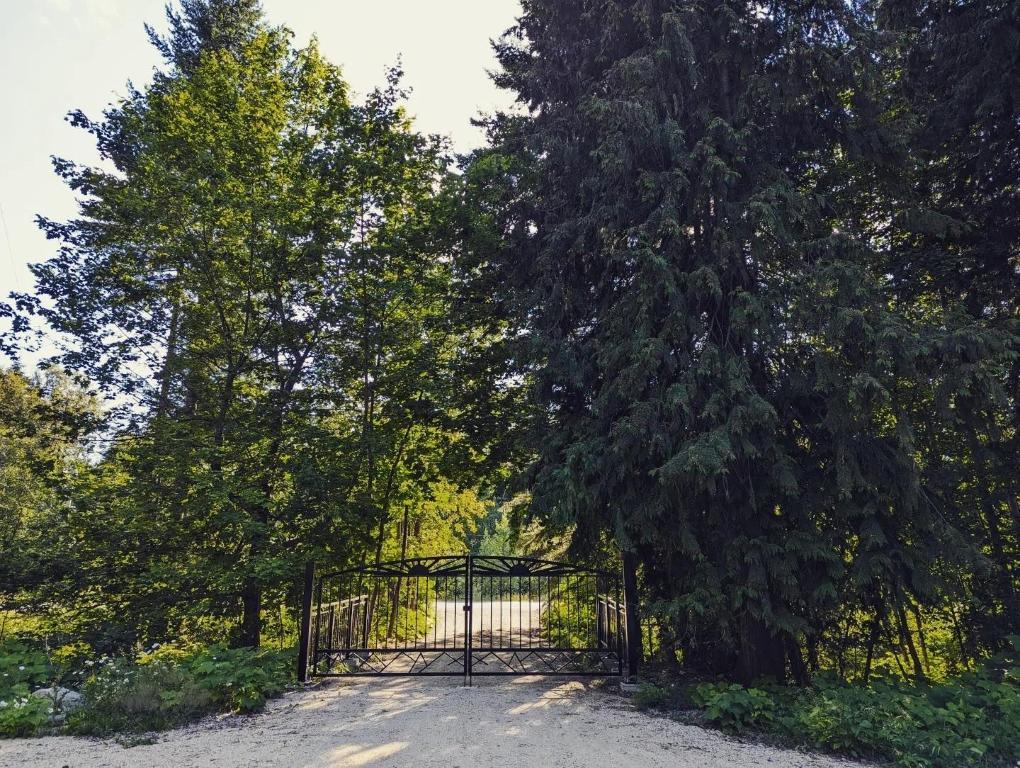 









5345


Highway 6

Highway,
Burton,







BC
V0G 1R0

