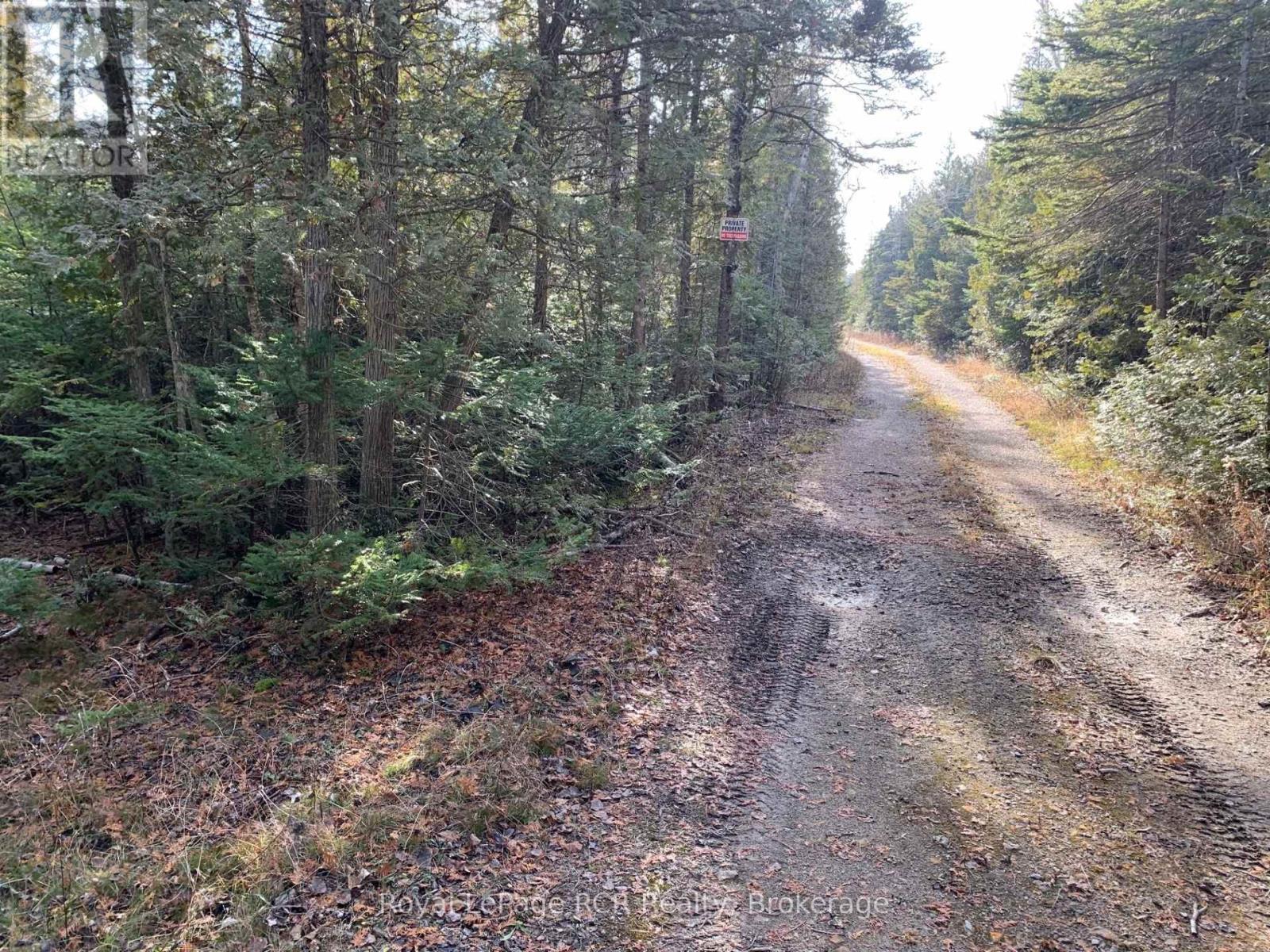 












153 MCDONOUGH LANE 1-10 LANE

,
Northern Bruce Peninsula,







Ontario
N0H1W0

