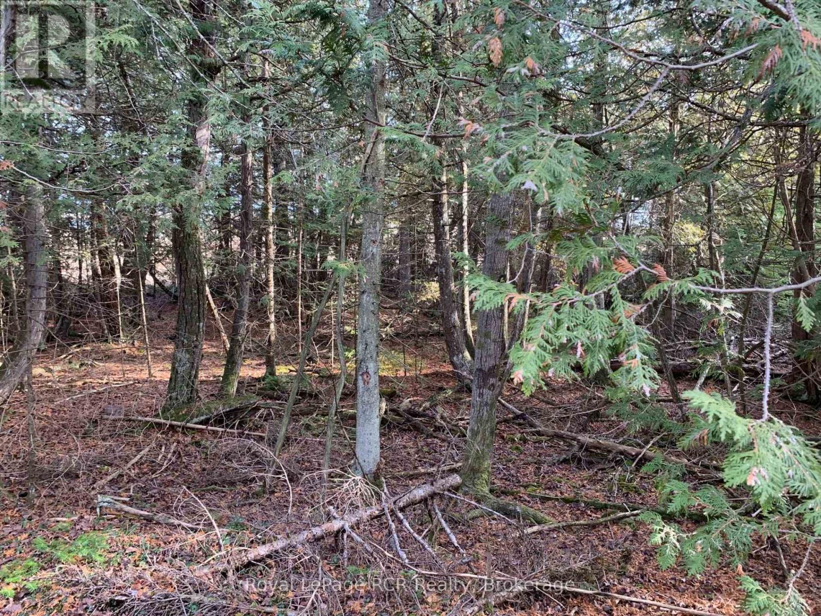 












153 MCDONOUGH LANE 1-10 LANE

,
Northern Bruce Peninsula,







Ontario
N0H1W0

