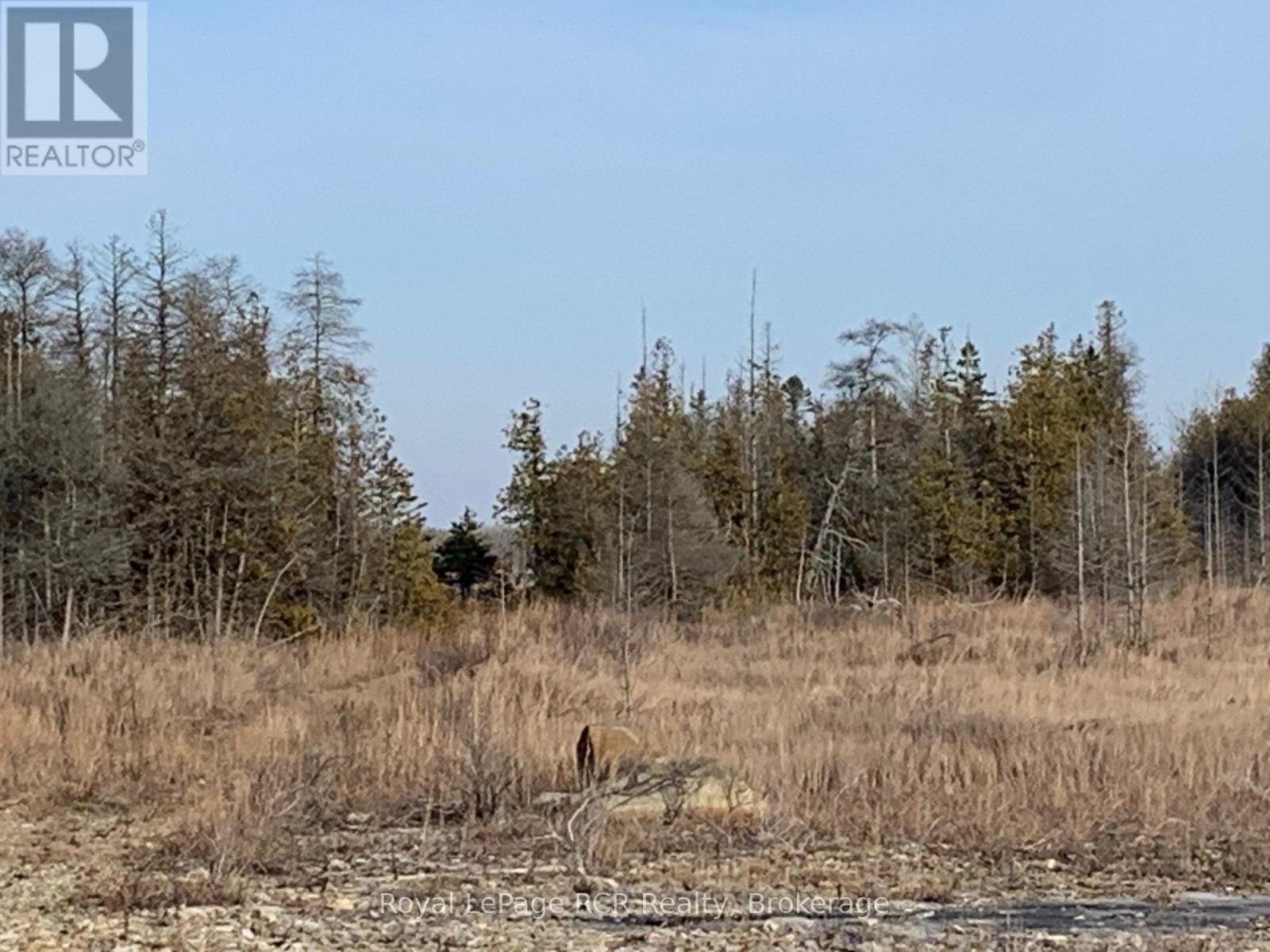 












153 MCDONOUGH LANE 1-10 LANE

,
Northern Bruce Peninsula,







Ontario
N0H1W0

