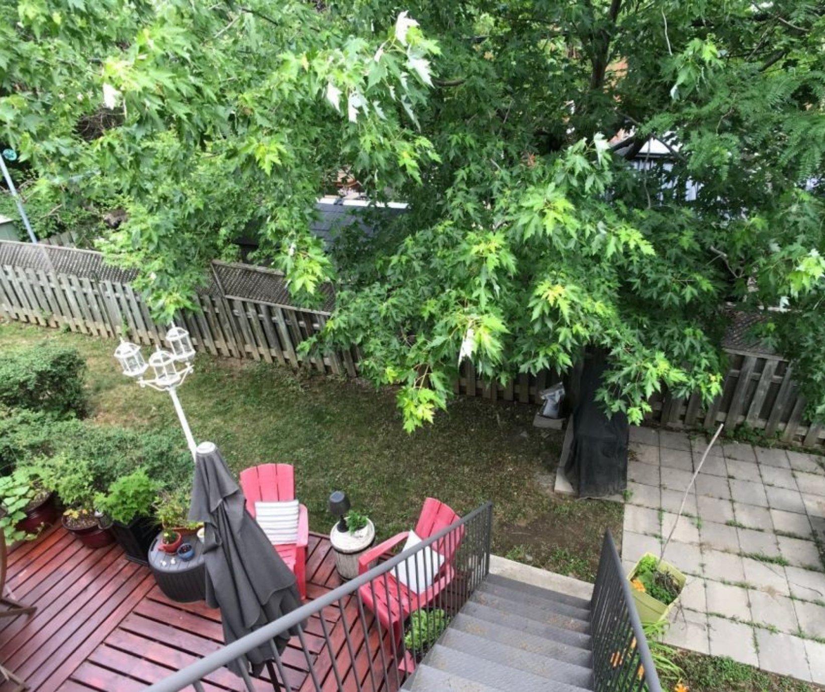 









7011


Av. Rondeau

,
Montréal (Anjou),




QC
H1K4W5

