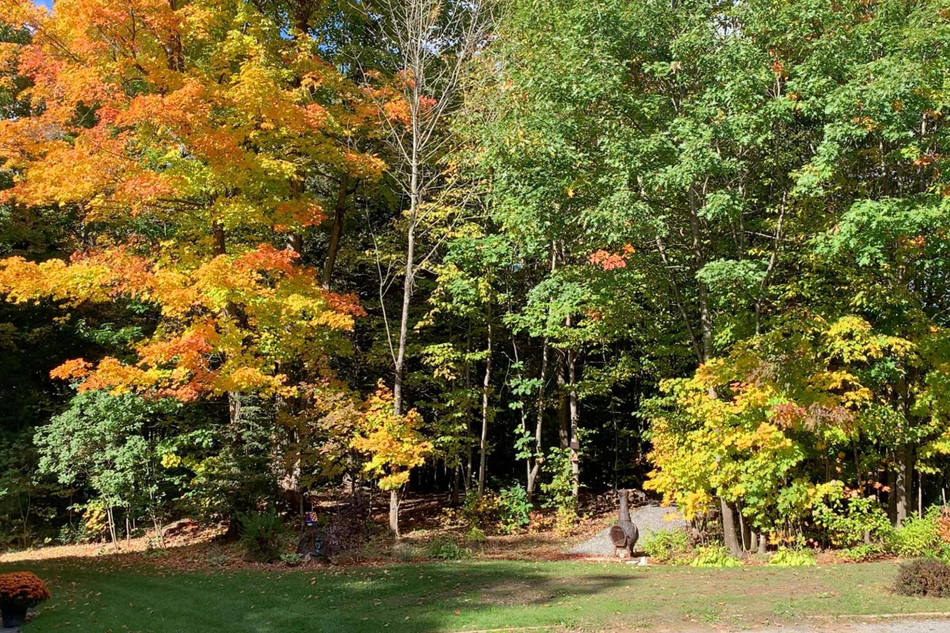 









39


Ch. de la Topaze

,
L'Ange-Gardien,




QC
J8L0G1

